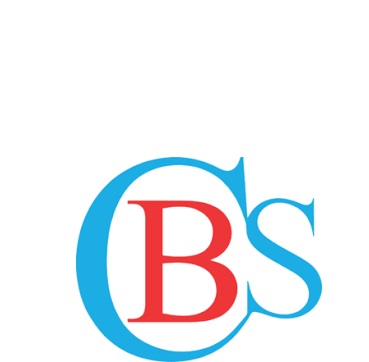  BILLINI CONSULTING SERVICE